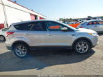 2013 Ford Escape Sel Gray vin: 1FMCU0HX9DUA55110