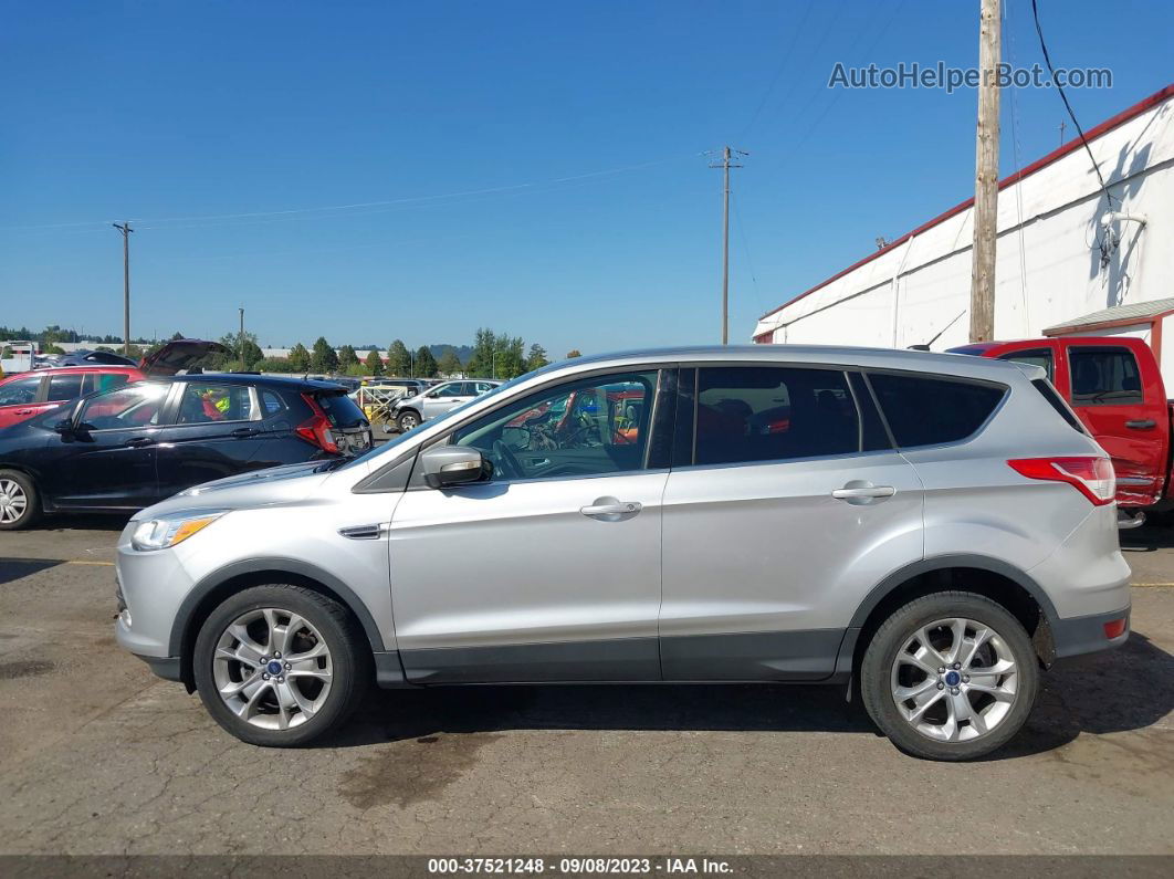 2013 Ford Escape Sel Gray vin: 1FMCU0HX9DUA55110