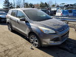 2013 Ford Escape Sel Gray vin: 1FMCU0HX9DUA88642