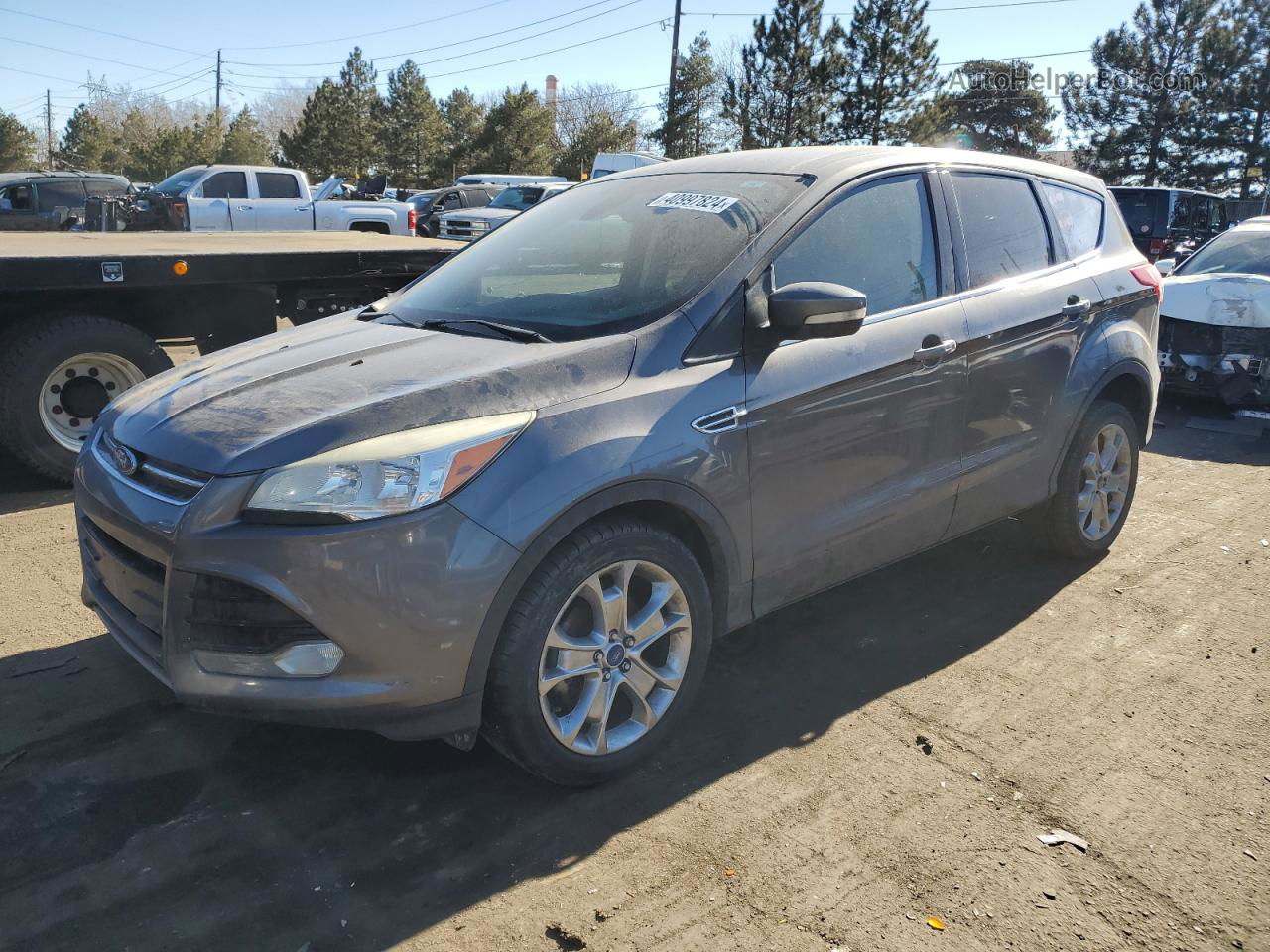 2013 Ford Escape Sel Gray vin: 1FMCU0HX9DUA88642