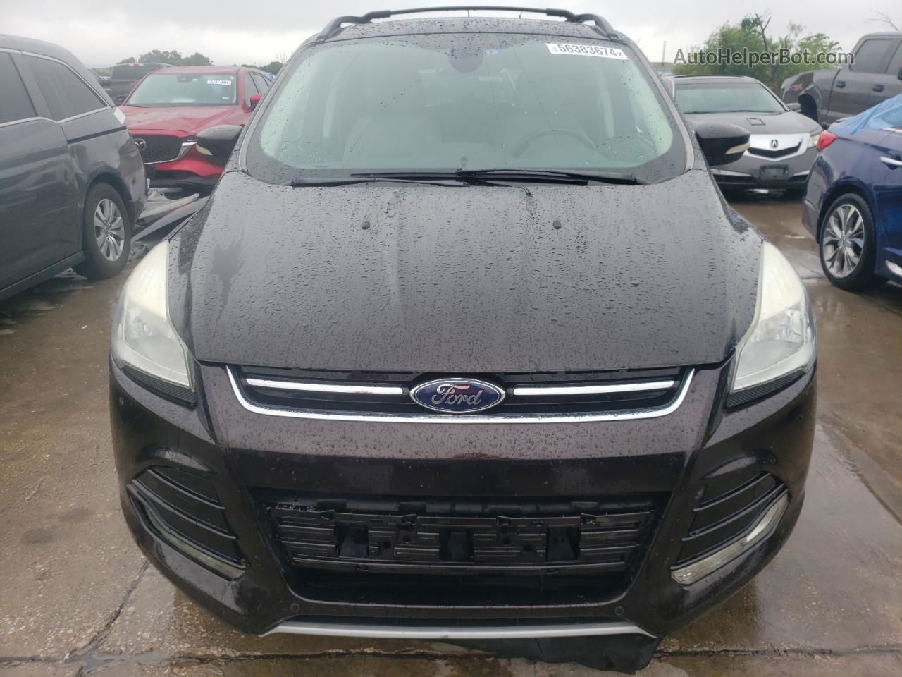 2013 Ford Escape Sel Black vin: 1FMCU0HX9DUB22885