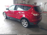 2013 Ford Escape Sel Красный vin: 1FMCU0HX9DUB82651