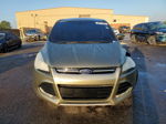 2013 Ford Escape Sel Зеленый vin: 1FMCU0HX9DUD19104