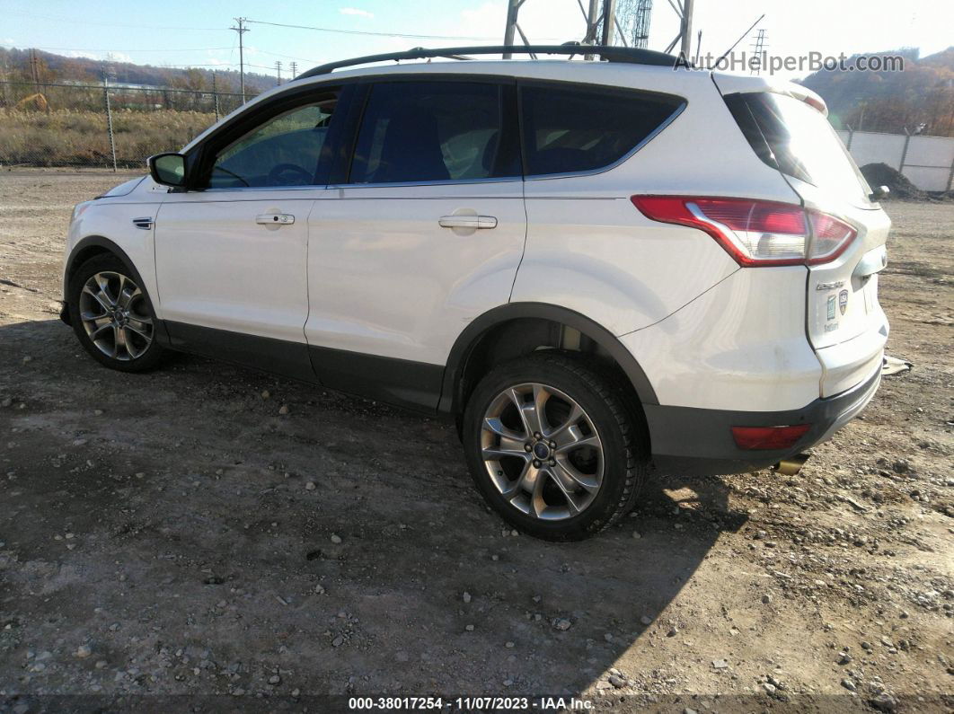 2013 Ford Escape Sel White vin: 1FMCU0HX9DUD49333