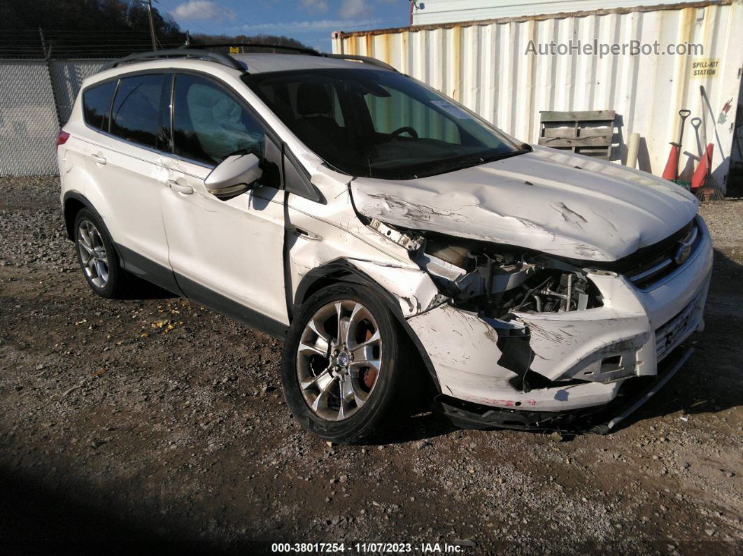 2013 Ford Escape Sel White vin: 1FMCU0HX9DUD49333