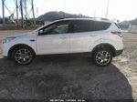 2013 Ford Escape Sel White vin: 1FMCU0HX9DUD49333