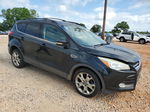 2013 Ford Escape Sel Black vin: 1FMCU0HXXDUA58629