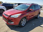 2013 Ford Escape Sel Red vin: 1FMCU0HXXDUB08199