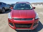 2013 Ford Escape Sel Red vin: 1FMCU0HXXDUB08199