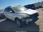 2013 Ford Escape Sel Белый vin: 1FMCU0HXXDUC61360