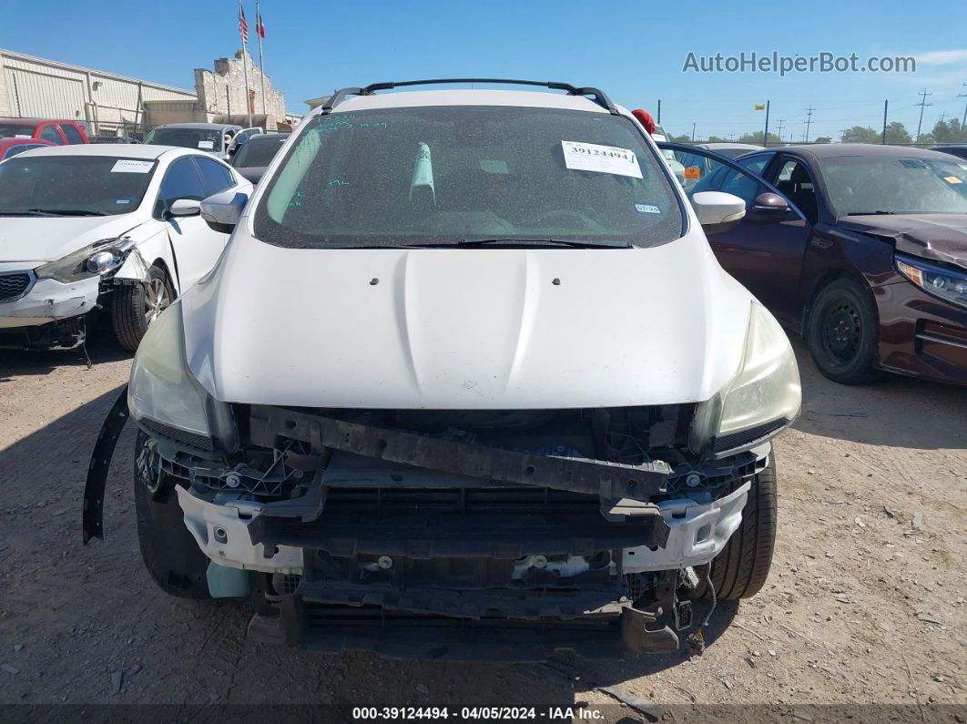 2013 Ford Escape Sel Белый vin: 1FMCU0HXXDUC61360