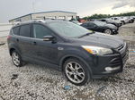 2013 Ford Escape Titanium Black vin: 1FMCU0J90DUB32832