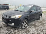 2013 Ford Escape Titanium Black vin: 1FMCU0J90DUB32832