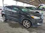 2013 Ford Escape Titanium Black vin: 1FMCU0J90DUB50781