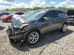 2015 Ford Escape Titanium Gray vin: 1FMCU0J90FUC07127