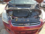 2013 Ford Escape Titanium Бордовый vin: 1FMCU0J92DUA34014