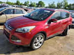 2013 Ford Escape Titanium Бордовый vin: 1FMCU0J92DUA34014