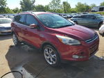 2013 Ford Escape Titanium Бордовый vin: 1FMCU0J92DUA34014