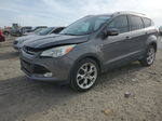 2014 Ford Escape Titanium Gray vin: 1FMCU0J92EUA02889