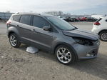 2014 Ford Escape Titanium Gray vin: 1FMCU0J92EUA02889