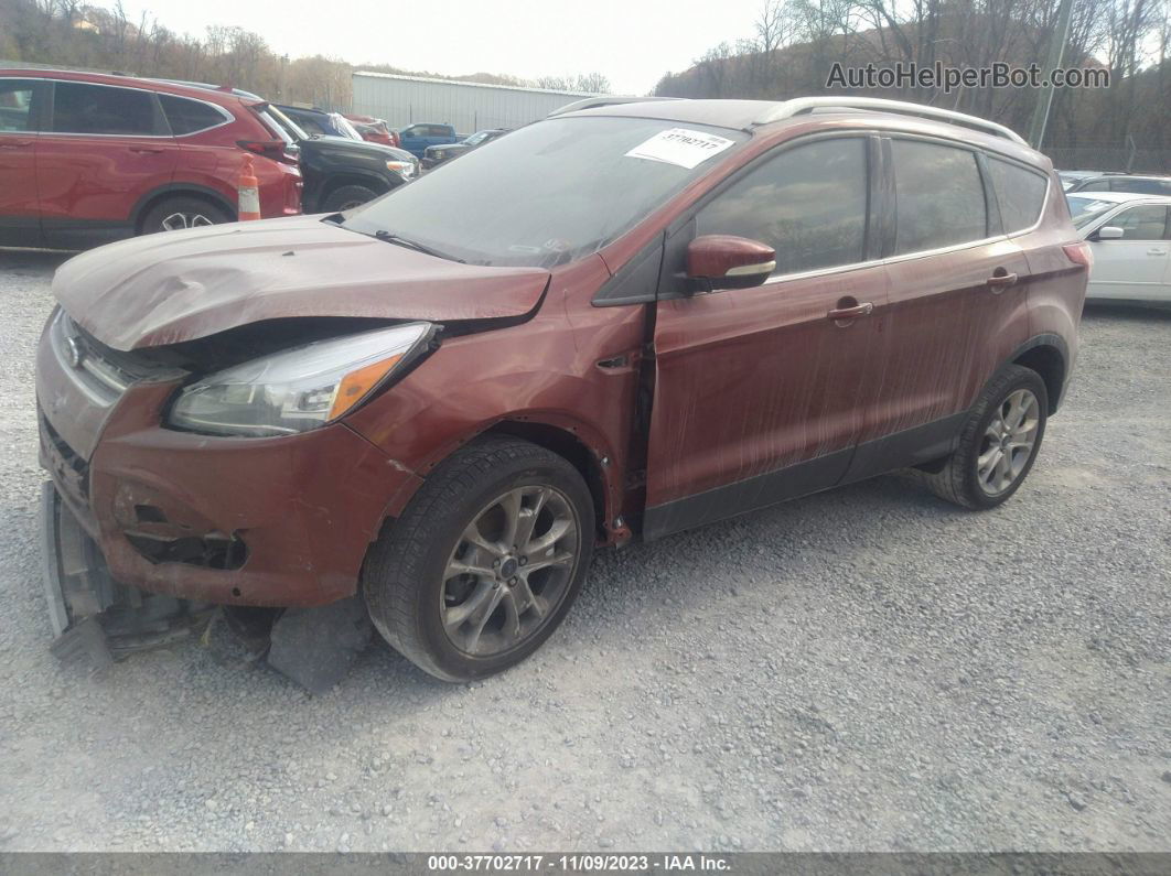 2014 Ford Escape Titanium Orange vin: 1FMCU0J92EUC29323