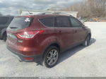 2014 Ford Escape Titanium Orange vin: 1FMCU0J92EUC29323