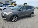 2014 Ford Escape Titanium Gray vin: 1FMCU0J92EUD70263