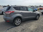 2014 Ford Escape Titanium Gray vin: 1FMCU0J92EUD70263