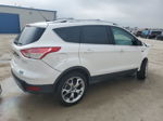 2014 Ford Escape Titanium White vin: 1FMCU0J92EUE56902