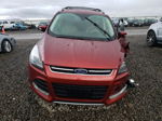 2016 Ford Escape Titanium Red vin: 1FMCU0J92GUB08133