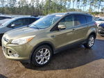 2014 Ford Escape Titanium Green vin: 1FMCU0J93EUB17436