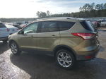 2014 Ford Escape Titanium Зеленый vin: 1FMCU0J93EUB17436