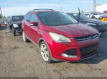 2015 Ford Escape Titanium Бордовый vin: 1FMCU0J93FUC07803