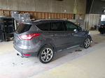 2013 Ford Escape Titanium Gray vin: 1FMCU0J94DUD67900