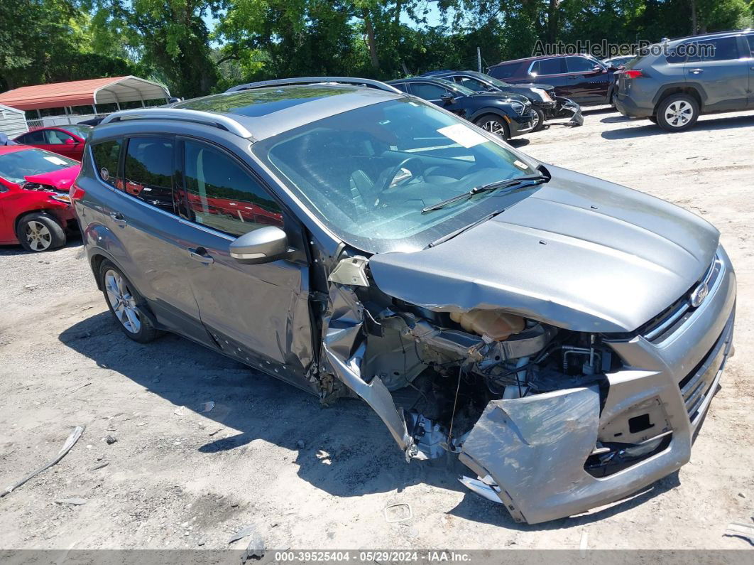 2014 Ford Escape Titanium Серый vin: 1FMCU0J94EUB17557