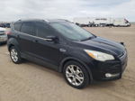 2015 Ford Escape Titanium Black vin: 1FMCU0J94FUC62065