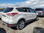 2015 Ford Escape Titanium Белый vin: 1FMCU0J95FUC12162