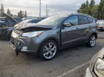 2014 Ford Escape Titanium Gray vin: 1FMCU0J96EUA30100