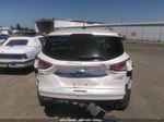 2014 Ford Escape Titanium White vin: 1FMCU0J96EUE47281