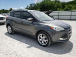 2016 Ford Escape Titanium Gray vin: 1FMCU0J96GUA29113