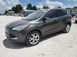 2016 Ford Escape Titanium Gray vin: 1FMCU0J96GUA29113