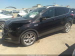 2013 Ford Escape Titanium Blue vin: 1FMCU0J97DUC41384