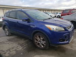 2014 Ford Escape Titanium Blue vin: 1FMCU0J97EUD64507