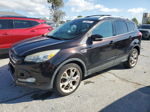 2013 Ford Escape Titanium Brown vin: 1FMCU0J99DUB81964