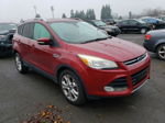 2015 Ford Escape Titanium Red vin: 1FMCU0J99FUB81370