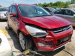 2016 Ford Escape Titanium Темно-бордовый vin: 1FMCU0J99GUA37853