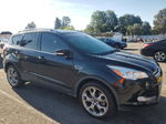 2016 Ford Escape Titanium Black vin: 1FMCU0J99GUB60441