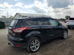 2014 Ford Escape Titanium Black vin: 1FMCU0J9XEUB29874