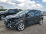 2014 Ford Escape Titanium Black vin: 1FMCU0J9XEUB29874