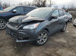 2015 Ford Escape Titanium Gray vin: 1FMCU0J9XFUA02737